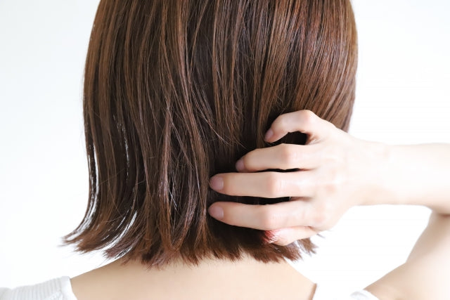 髪のツヤにはオイルケアを 乾燥が気になる髪をしっとり整えるポイント