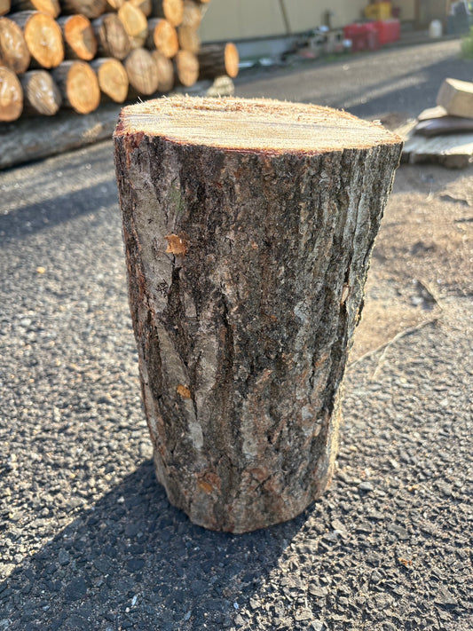 しいたけの榾木（原木）