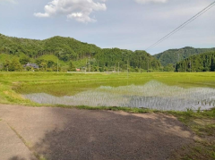 宮城県産ひとめぼれ5kg【精米】