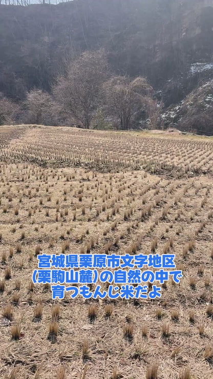 宮城県産ひとめぼれ5kg【精米】